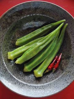 オクラの浅漬け-レシピのメイン写真
