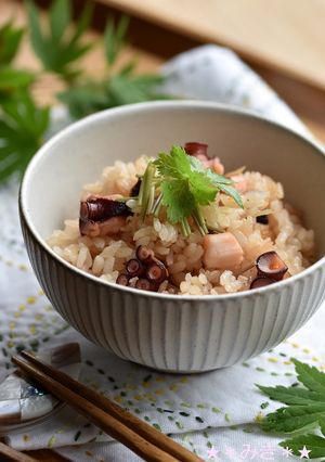 御代わりしたくなる「たこ飯」☆-レシピのメイン写真