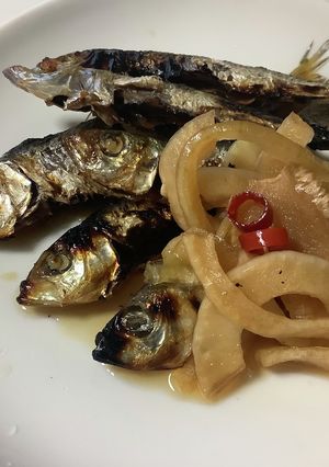 ままかりの焼き酢漬け　Ver2-レシピのメイン写真