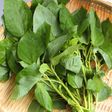 モロヘイヤの茹で方