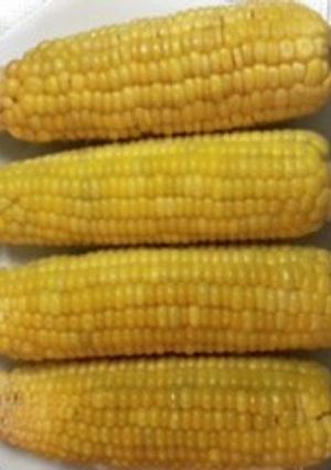 とうもろこし皮毎蒸し焼き-レシピのメイン写真