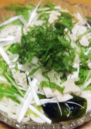 大葉と大根おろしの具だくさんそうめん-レシピのメイン写真