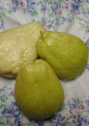 はやとうりの漬物-レシピのメイン写真