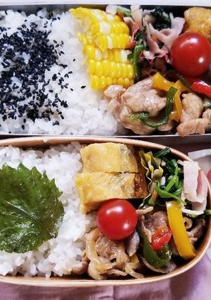豚肉パプリカ炒め弁当(6.28)-レシピのメイン写真