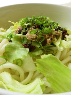 暑い日におすすめ。梅しそサラダうどん-レシピのメイン写真