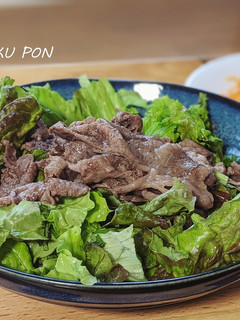 焼き肉サラダ【塩】-レシピのメイン写真