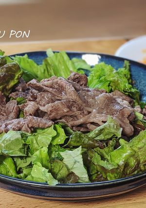 焼き肉サラダ【塩】-レシピのメイン写真