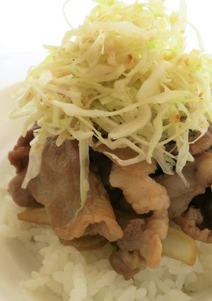 ボリュームたっぷり！失敗ナシの豚丼-レシピのメイン写真
