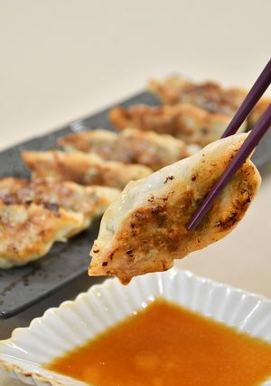手づくり野菜餃子　ＪＡにいがた南蒲-レシピのメイン写真