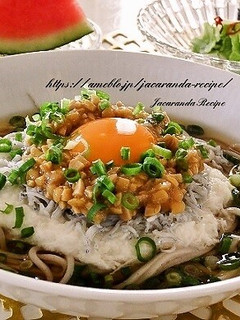 ひきわり納豆とシラスのネバネバ冷やし蕎麦-レシピのメイン写真