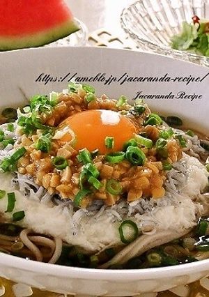 ひきわり納豆とシラスのネバネバ冷やし蕎麦-レシピのメイン写真