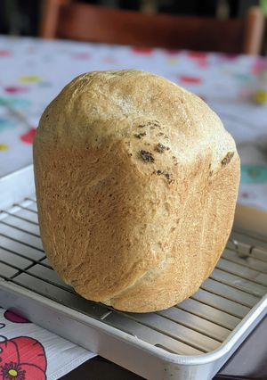 HBで作る!ごま油de食パン-レシピのメイン写真