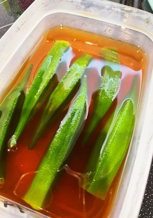 オクラのおひたし-レシピのメイン写真