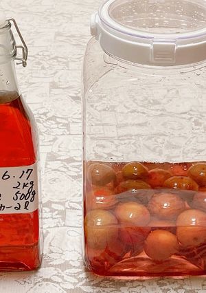 簡単！ホワイトリカーＤＥ！プラム酒-レシピのメイン写真