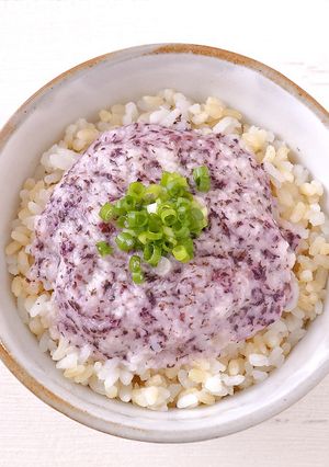発芽米とろろ-レシピのメイン写真
