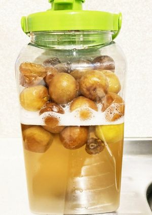 21発酵した　梅シロップの報告-レシピのメイン写真