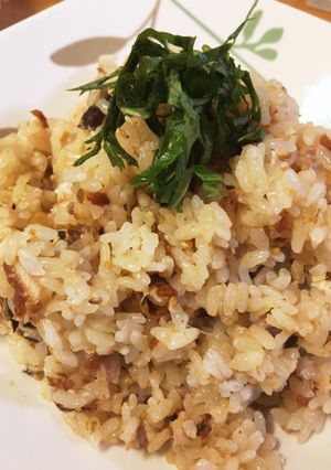 さっぱり＊スタミナうなぎご飯-レシピのメイン写真