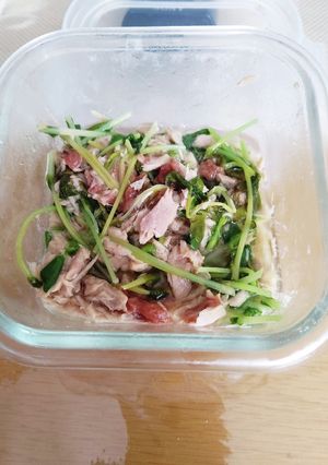弁当おかず③　豆苗とシーチキンの梅干和え-レシピのメイン写真