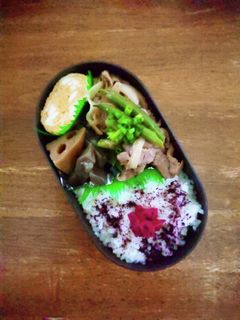 JK☆塩ダレ焼き肉弁当♪-レシピのメイン写真