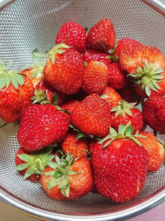 【いちご】美味しく保存-レシピのメイン写真