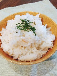 保育園給食★梅と青じその混ぜごはん-レシピのメイン写真