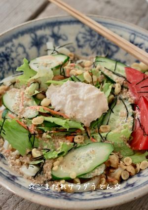 ☆ごまだれサラダうどん☆-レシピのメイン写真