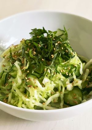 胡瓜とキャベツの塩揉み『何食べ』#84-レシピのメイン写真