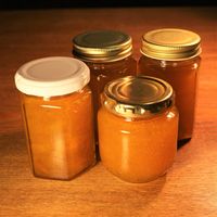 基本からアレンジまで！思わずつくりたくなる「ジャムを作る」の
