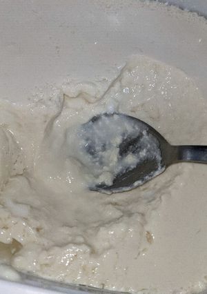 自家製豆乳ヨーグルト-レシピのメイン写真