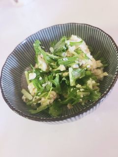 簡単☆豆腐と水菜のゴマドレッシング和え-レシピのメイン写真