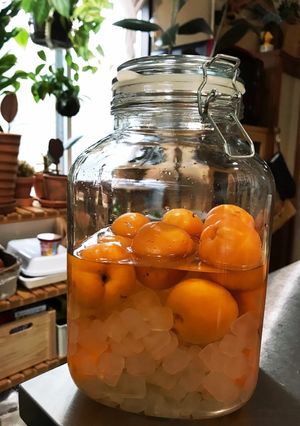 杏シロップ (配分覚え書き)7.4-レシピのメイン写真