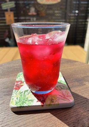 クエン酸で夏バテ防止!赤紫蘇ジュース-レシピのメイン写真