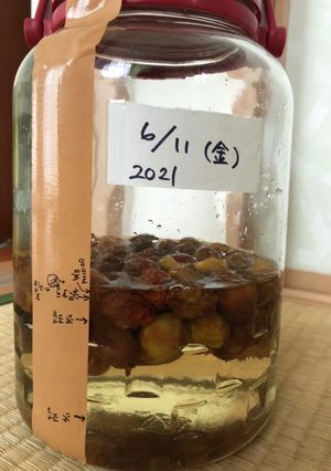 梅ジュース-レシピのメイン写真