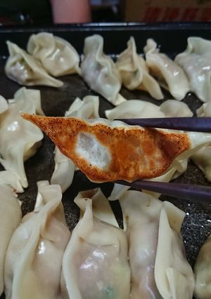 背徳の肉餃子-レシピのメイン写真