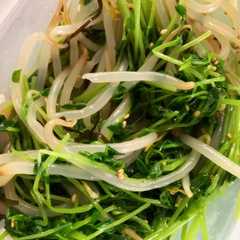 A picture of レンジで簡単！豆苗の塩昆布ナムル☾.