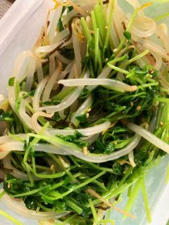 レンジで簡単!豆苗の塩昆布ナムル☾-レシピのメイン写真