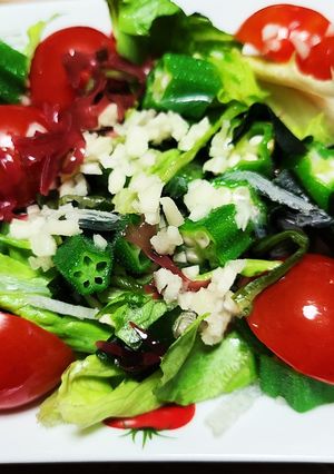 生姜入り野菜サラダ-レシピのメイン写真