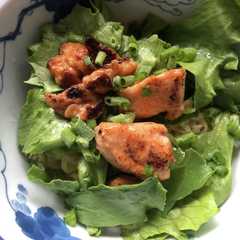 รูปของ レタス冷やし麺