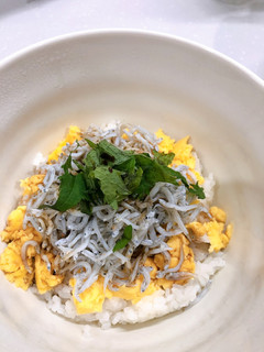 釜揚げしらす丼-レシピのメイン写真