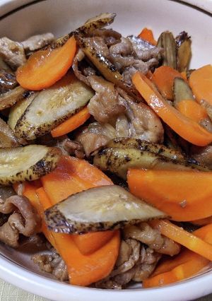 ごぼうと人参と豚こま肉の炒め物-レシピのメイン写真