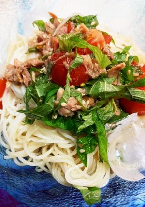 ゆかりのイブクロ ぶっかけそうめん-レシピのメイン写真