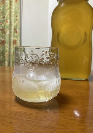 南高梅で梅シロップ-レシピのメイン写真
