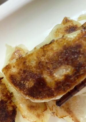 高菜餃子-レシピのメイン写真