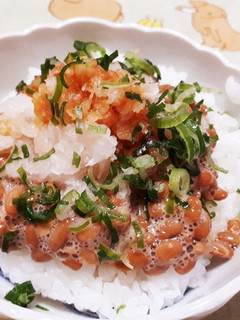 手早く腹ごしらえ☆納豆おろしご飯-レシピのメイン写真