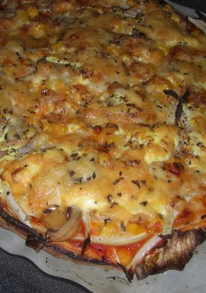 パリッ！！ＰＩＺＺＡ・ホシノ酵母-レシピのメイン写真