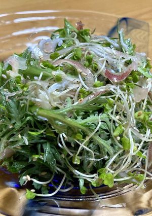 春菊と茗荷とじゃこのサラダ-レシピのメイン写真