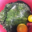 シソのあっさり漬け ご飯もりもり