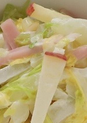 【リデュース】白菜のコールスロー-レシピのメイン写真