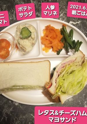 レタス&ハムチーズ辛子マヨサンド♡-レシピのメイン写真