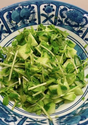パクチー、豆苗、きゅうりサラダ-レシピのメイン写真